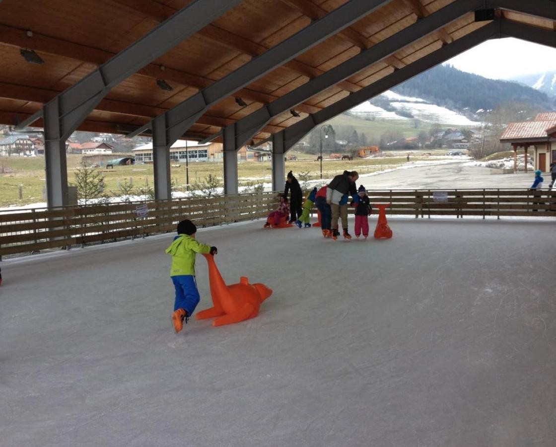 Le 211,Ski Et Randonnee, Lave Linge ,Parking Bernex Exterior photo